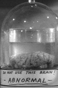 Young Frankenstein